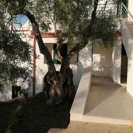 Villa Elisa Vieste Ngoại thất bức ảnh