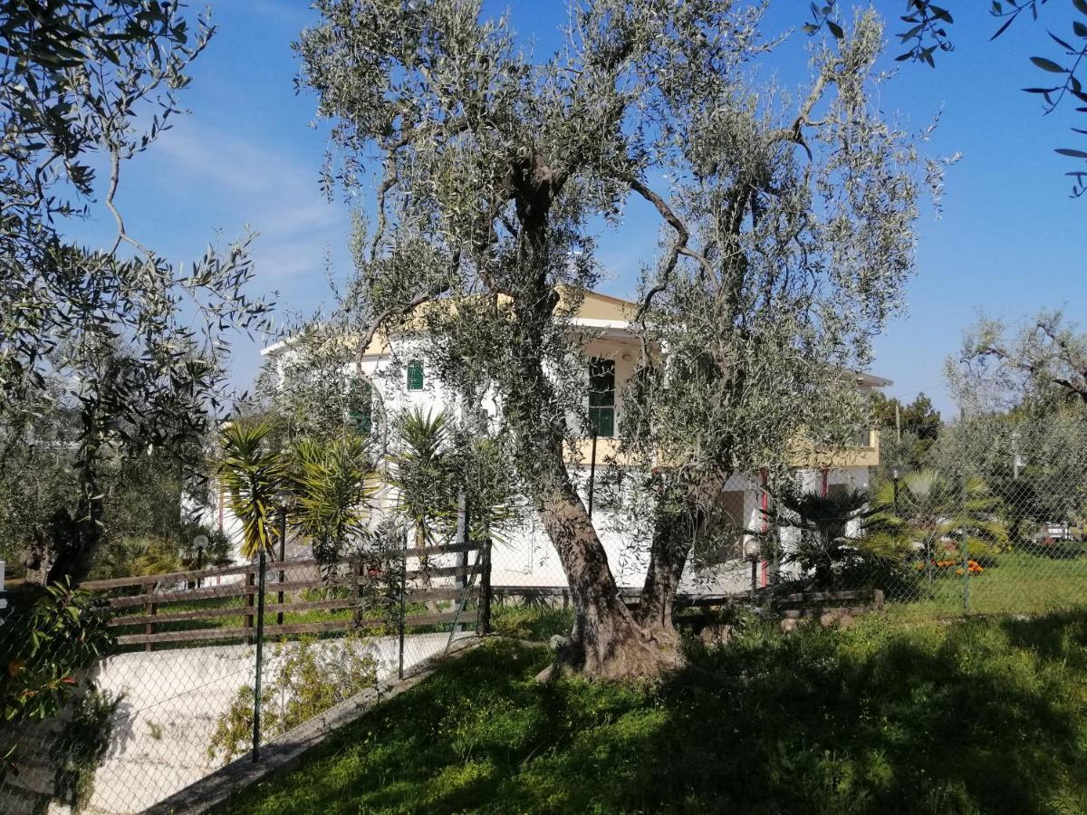 Villa Elisa Vieste Ngoại thất bức ảnh