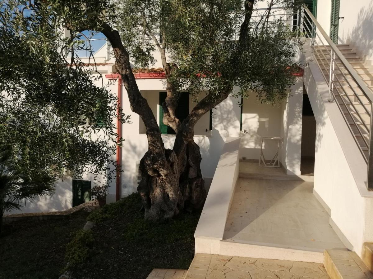 Villa Elisa Vieste Ngoại thất bức ảnh